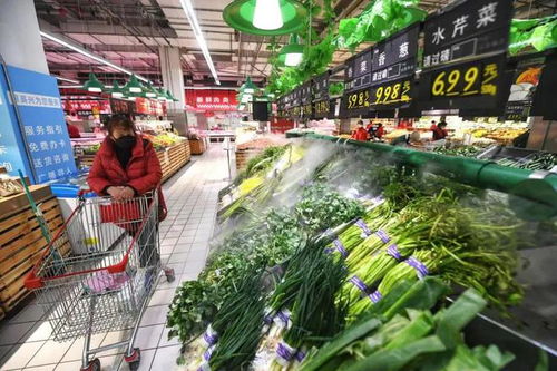 苗木價(jià)格迎來下行拐點(diǎn)，市場(chǎng)機(jī)遇與挑戰(zhàn)并存