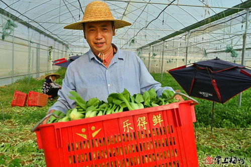 小特色撬動(dòng)大產(chǎn)業(yè) 梅江區(qū)苗木產(chǎn)業(yè)的市場(chǎng)化、產(chǎn)業(yè)化、品牌化路徑