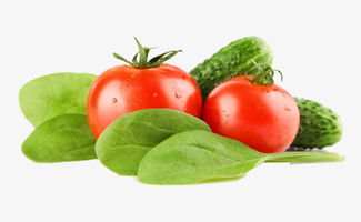 探索綠色蔬菜之美 高清免費(fèi)素材圖推薦